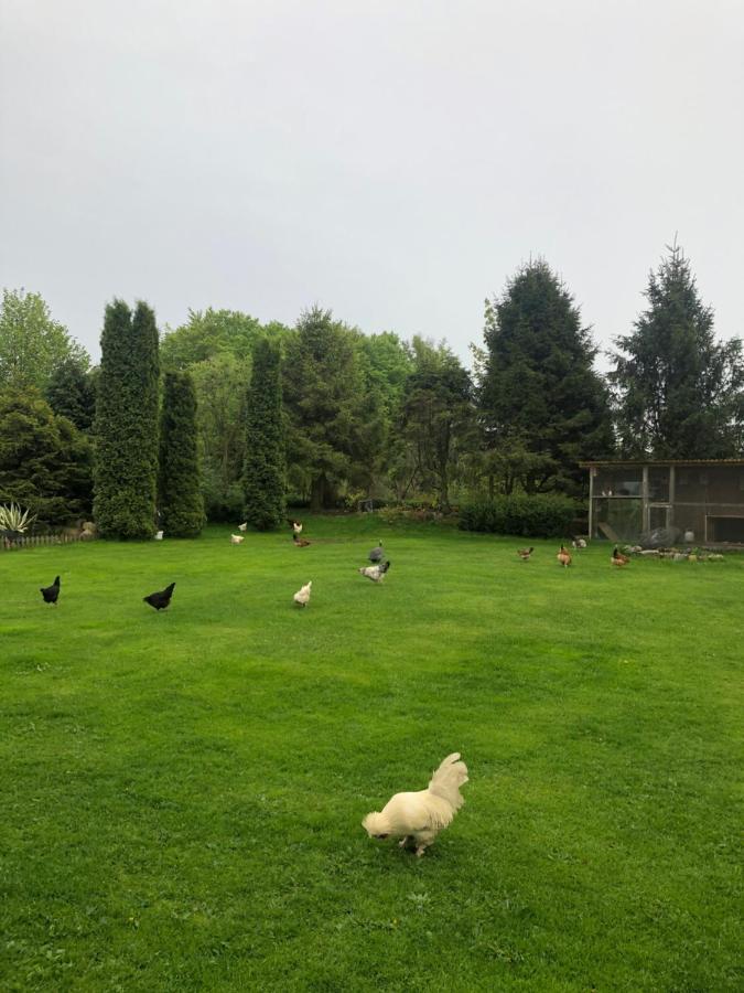 Agroturystyka Nad Stawami Szemud Luaran gambar